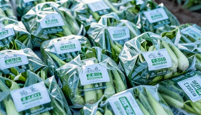 仓储保鲜服务响应较为关键的适用条件与选择依据